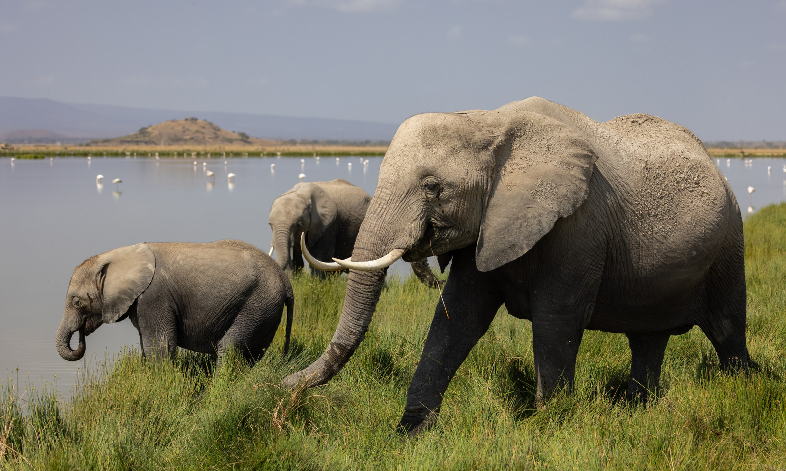 Nyerere National Park