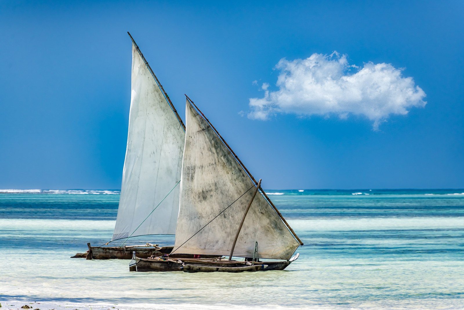 Sailboats on the sea under sunlight
